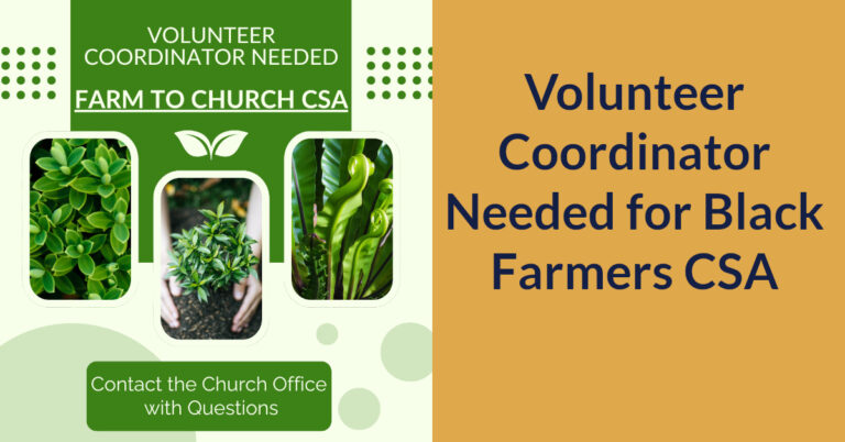 Volunteer Coordinator Needed for Black Farmers CSA