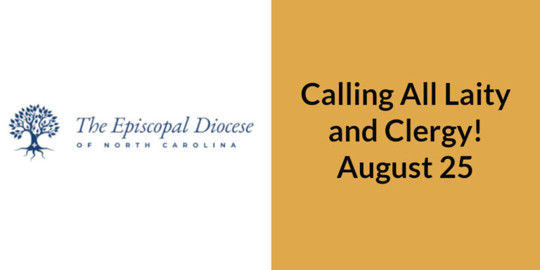Calling All Laity and Clergy!