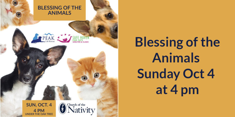 Blessing of the Animals – Oct 4 at 4 pm